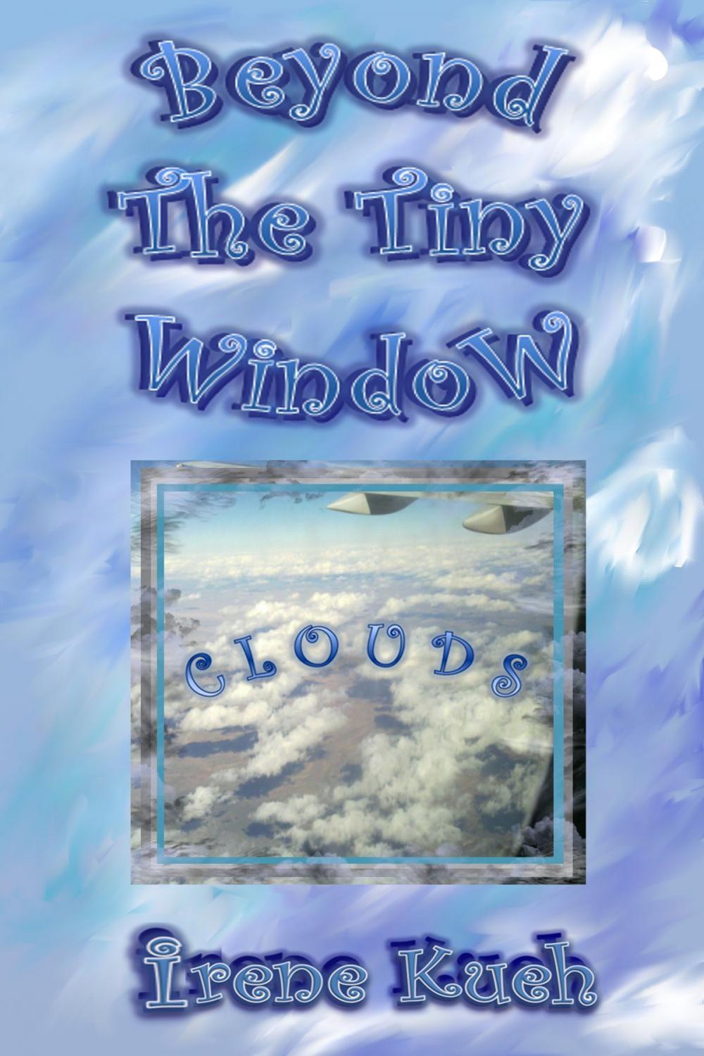 Big bigCover of Beyond The Tiny Window: Clouds