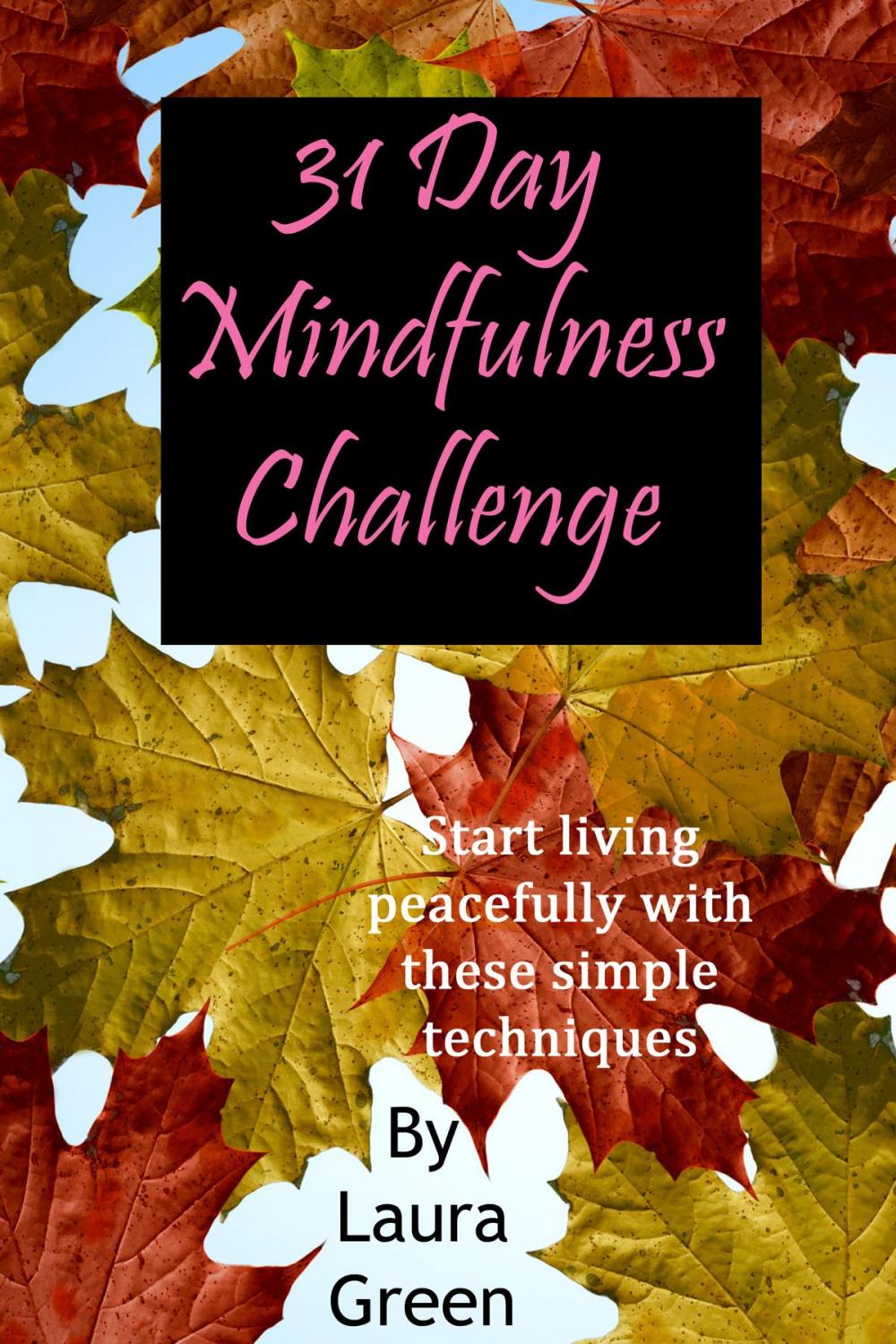 Big bigCover of 31 Day Mindfulness Challenge