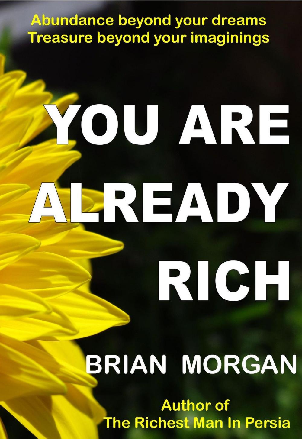 Big bigCover of You Are Already Rich