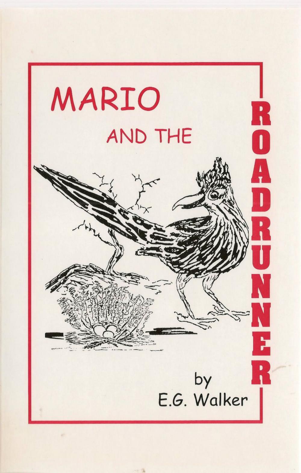 Big bigCover of Mario and the Roadrunner