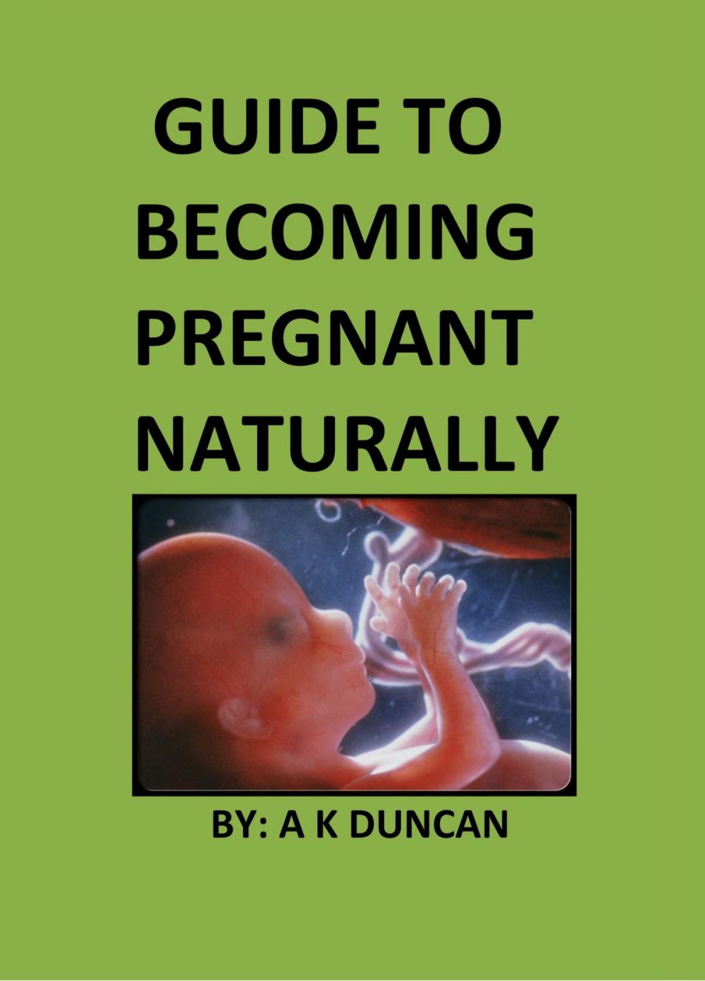 Big bigCover of Guide To Becoming Pregnant Naturally