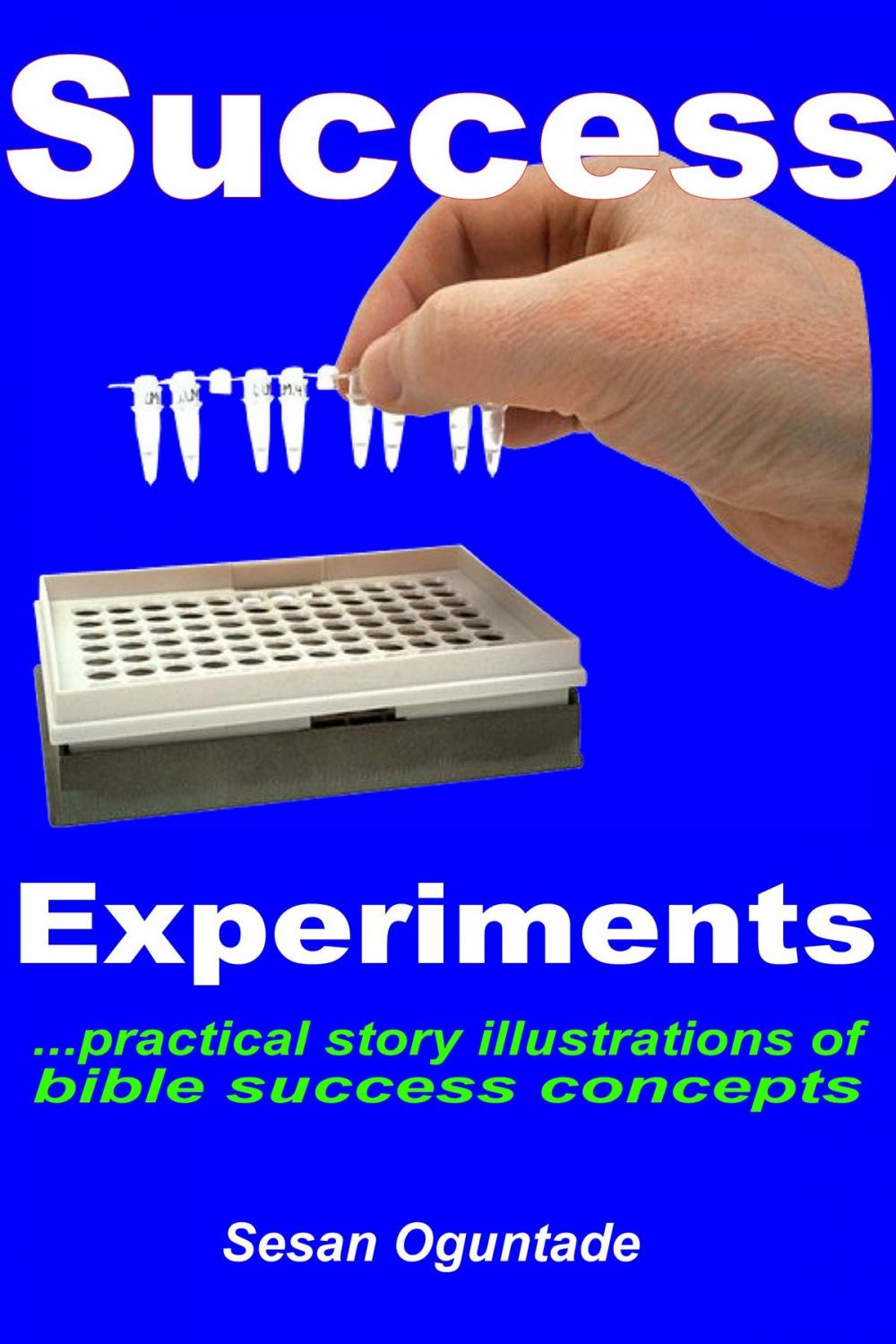 Big bigCover of Success Experiments