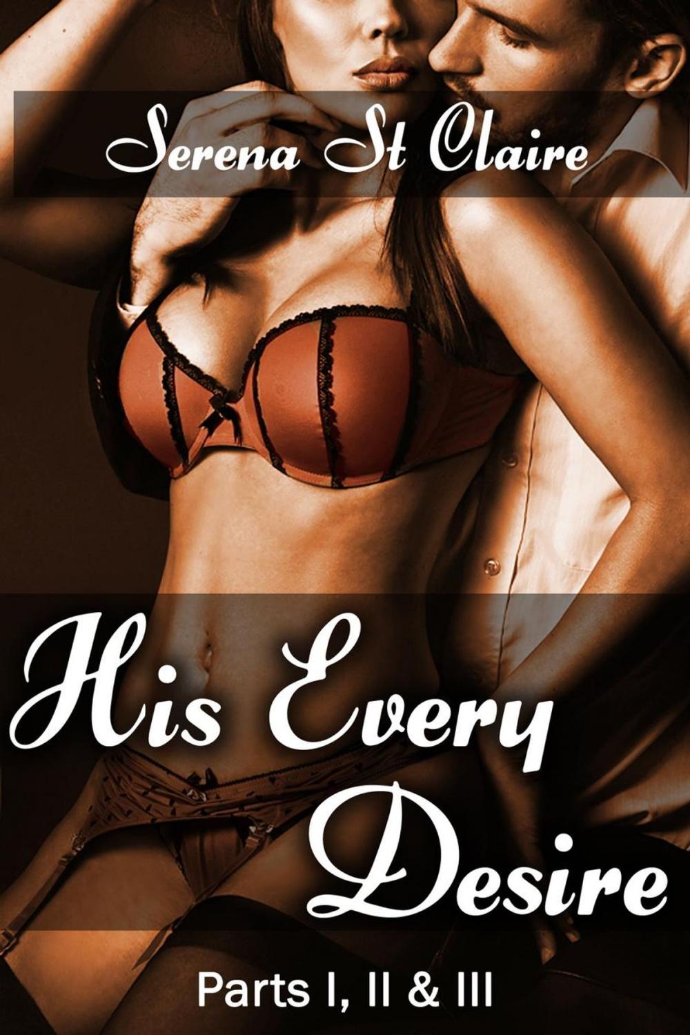 Big bigCover of His Every Desire - Part I, II & III Dominating Billionaire Erotica Bundle