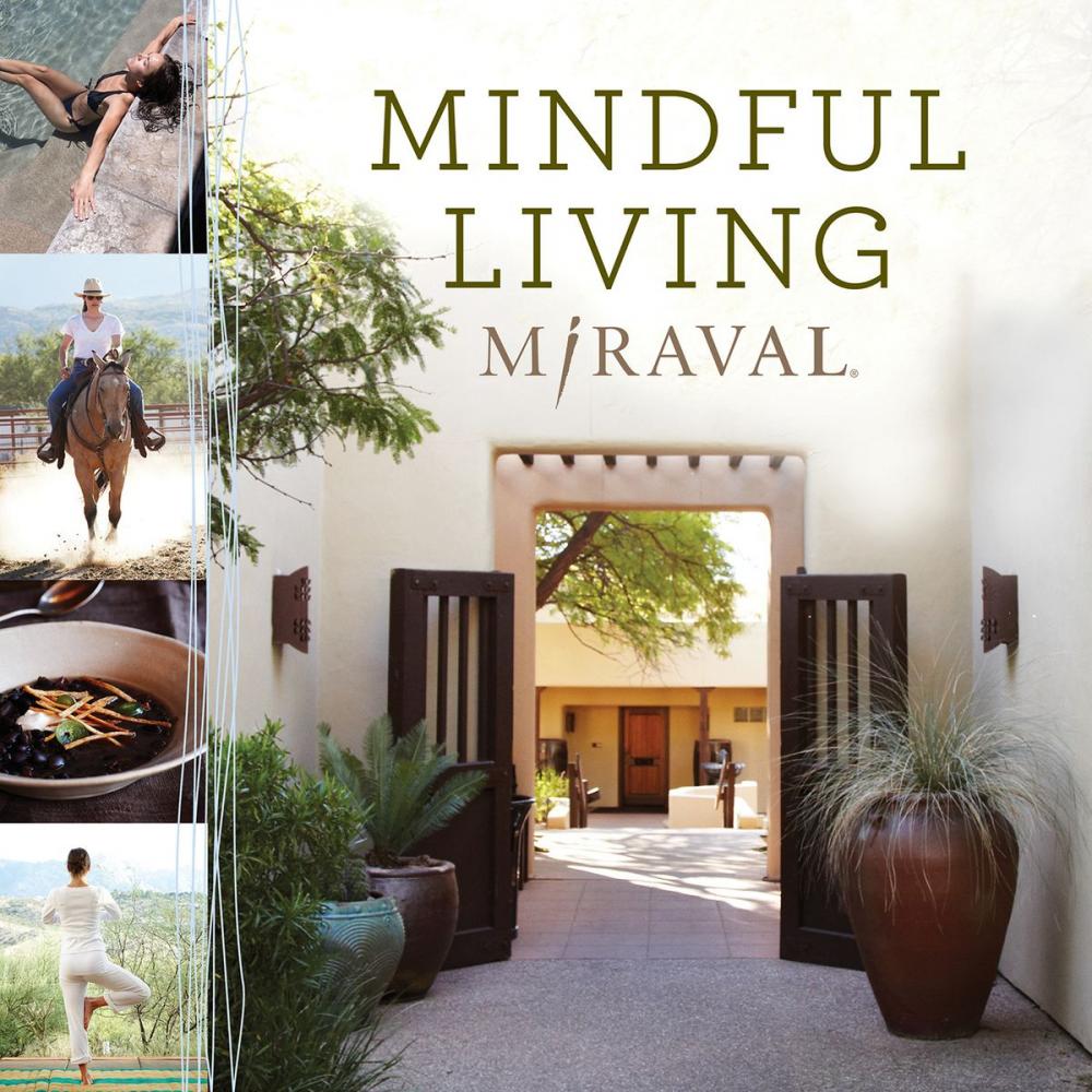 Big bigCover of Mindful Living