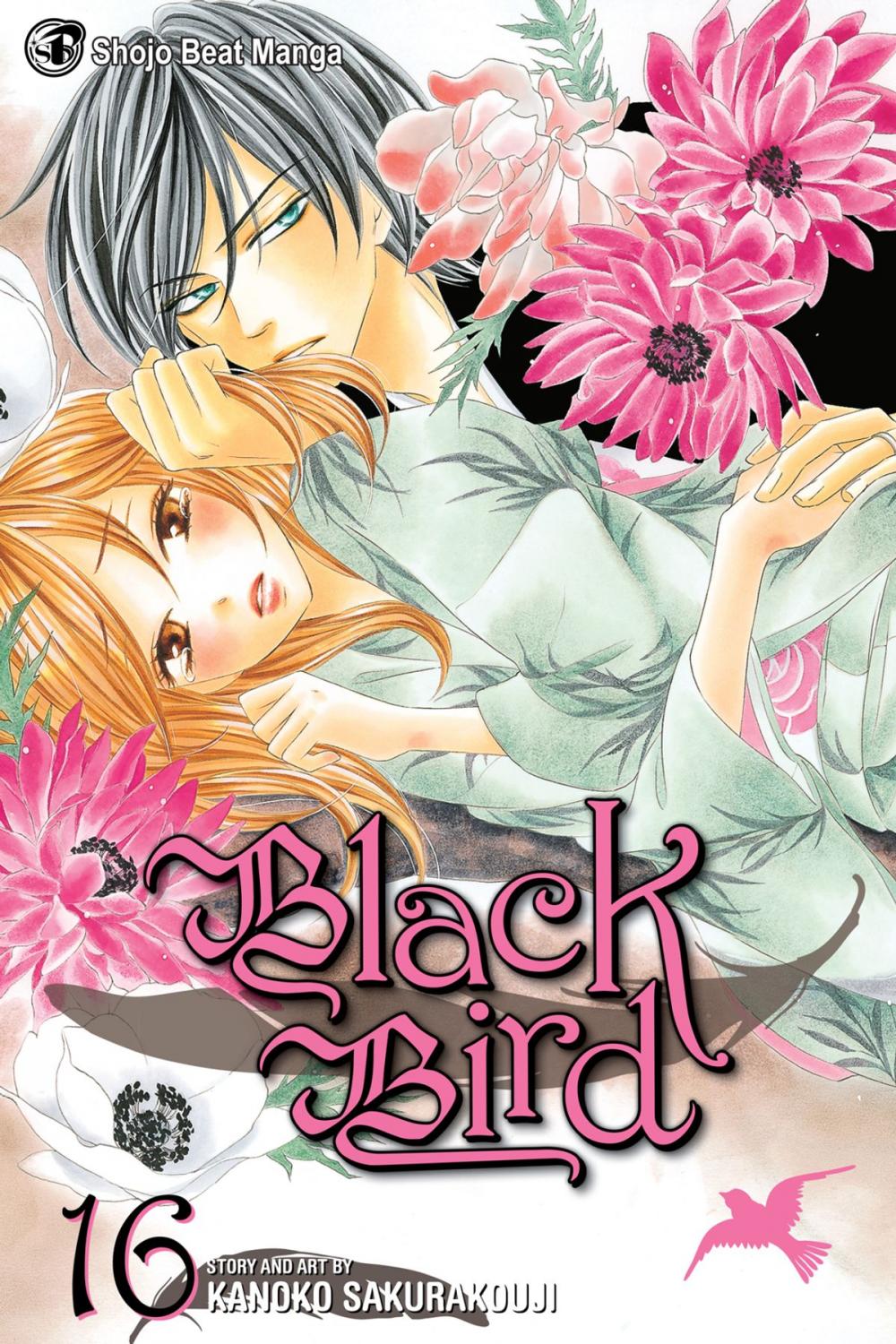 Big bigCover of Black Bird, Vol. 16