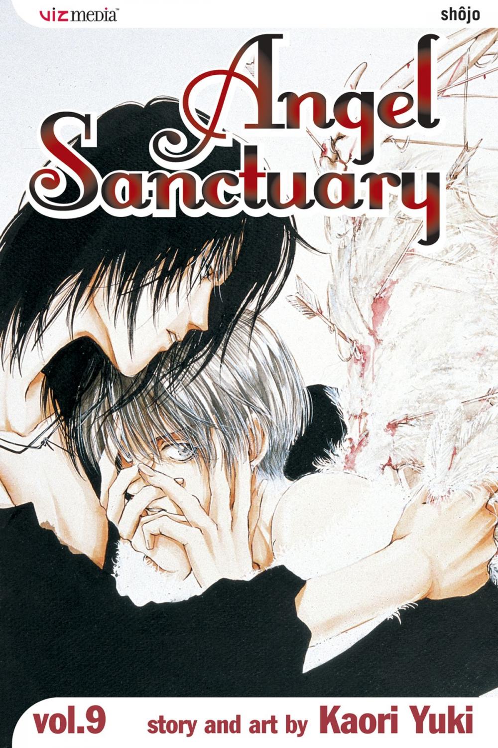 Big bigCover of Angel Sanctuary, Vol. 9