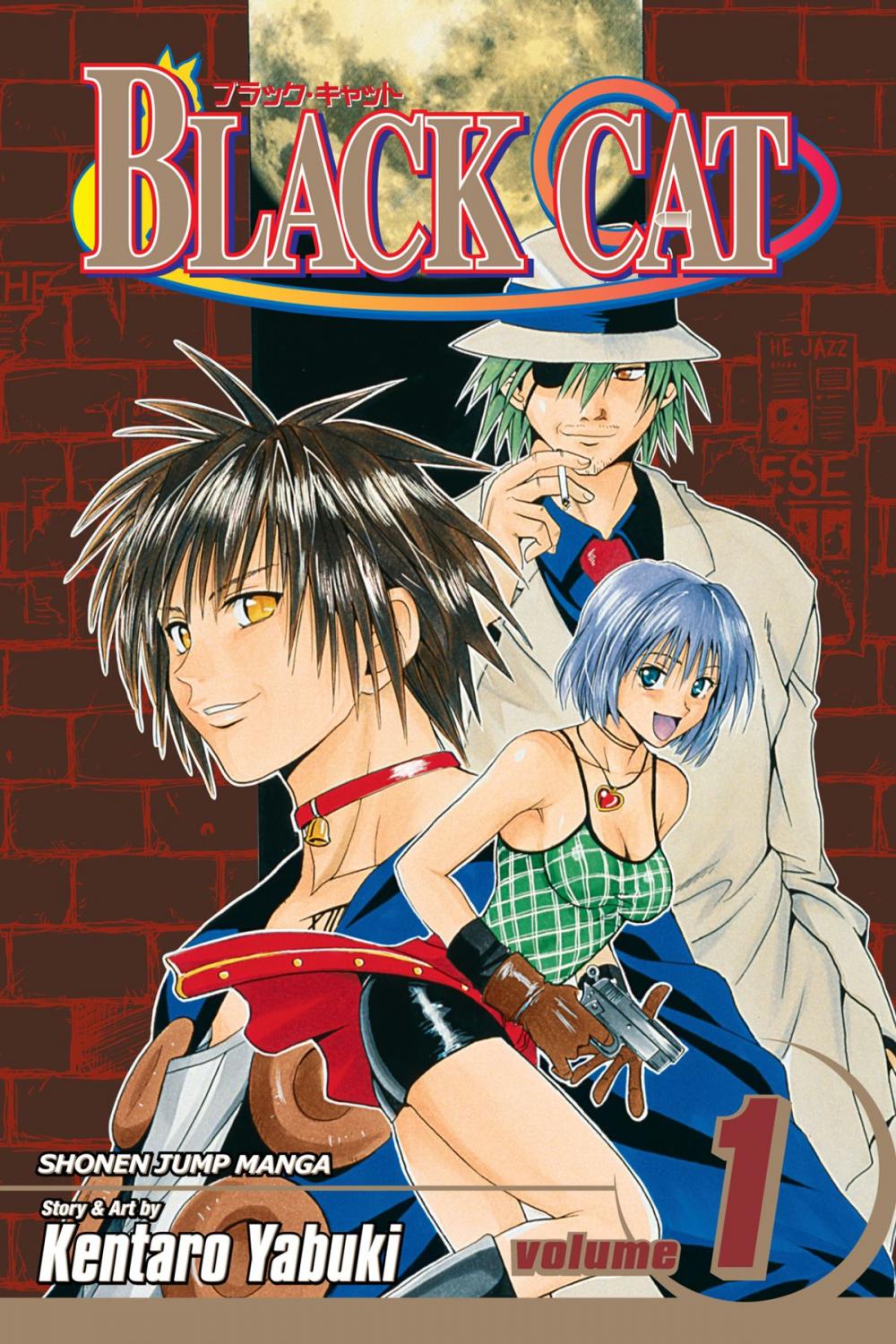 Big bigCover of Black Cat, Vol. 1