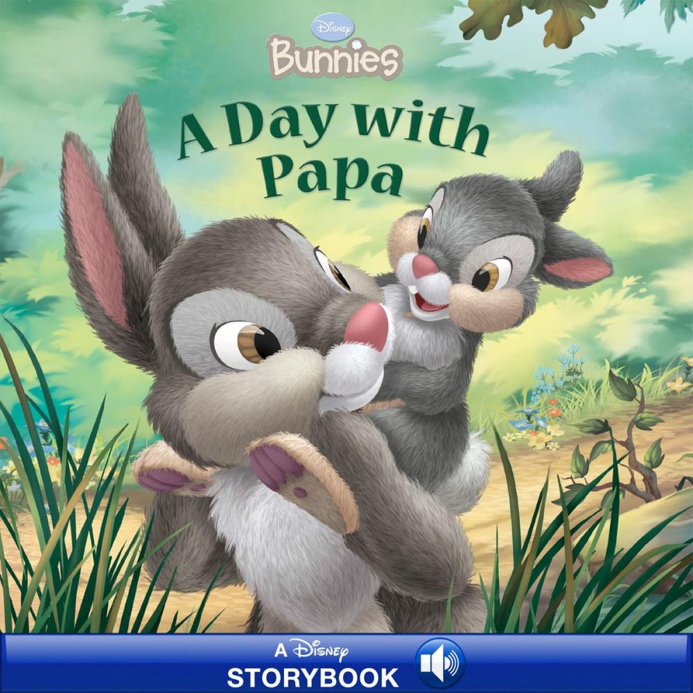 Big bigCover of Disney Bunnies: A Day with Papa