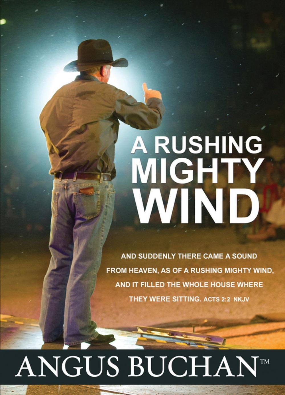 Big bigCover of A Rushing Mighty Wind (eBook)