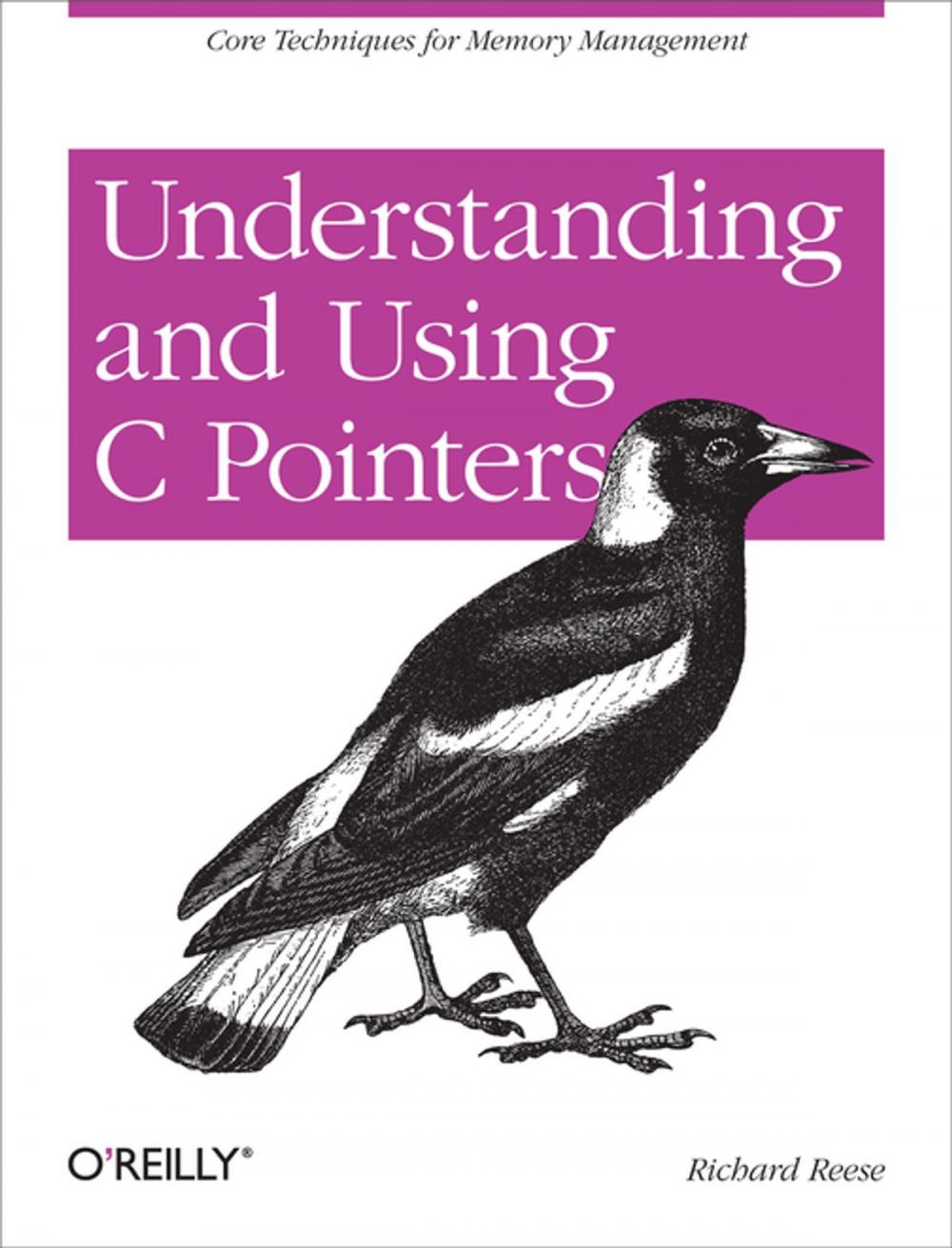 Big bigCover of Understanding and Using C Pointers