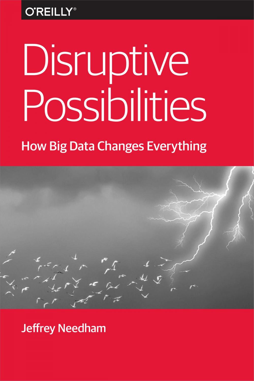 Big bigCover of Disruptive Possibilities: How Big Data Changes Everything