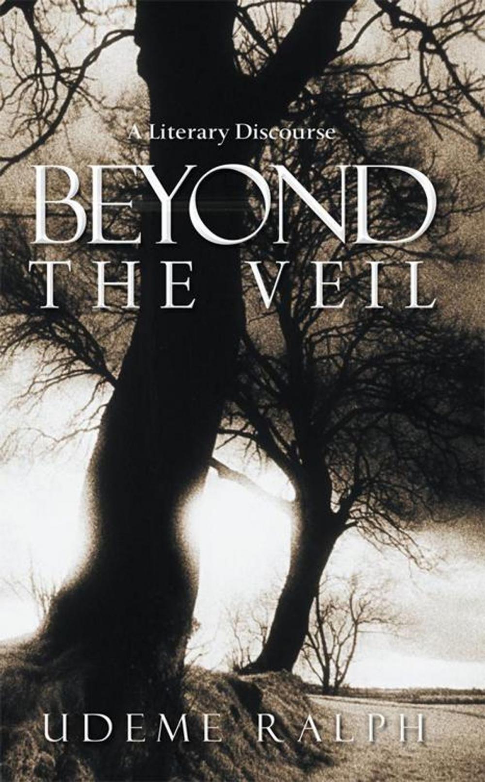 Big bigCover of Beyond the Veil