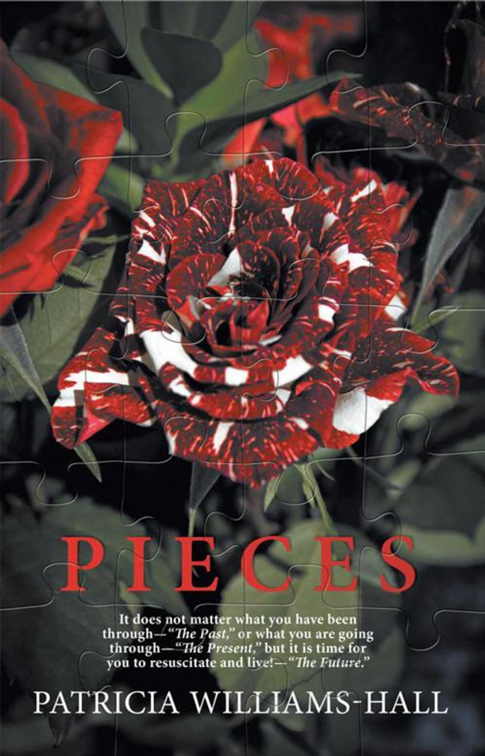 Big bigCover of Pieces