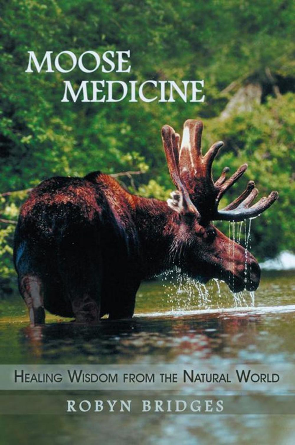 Big bigCover of Moose Medicine