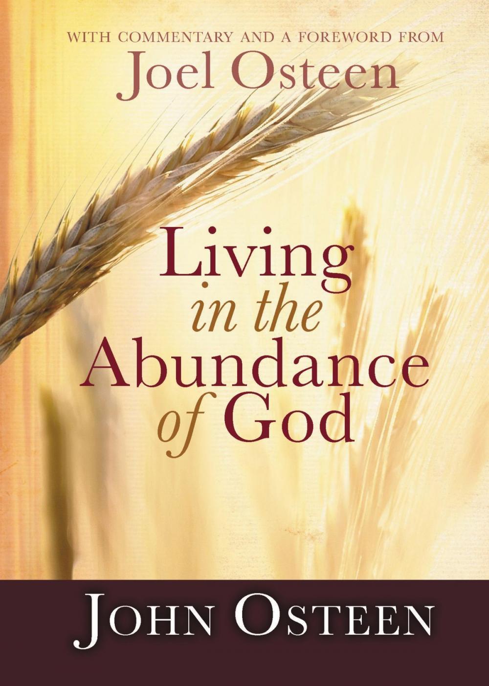 Big bigCover of Living in the Abundance of God