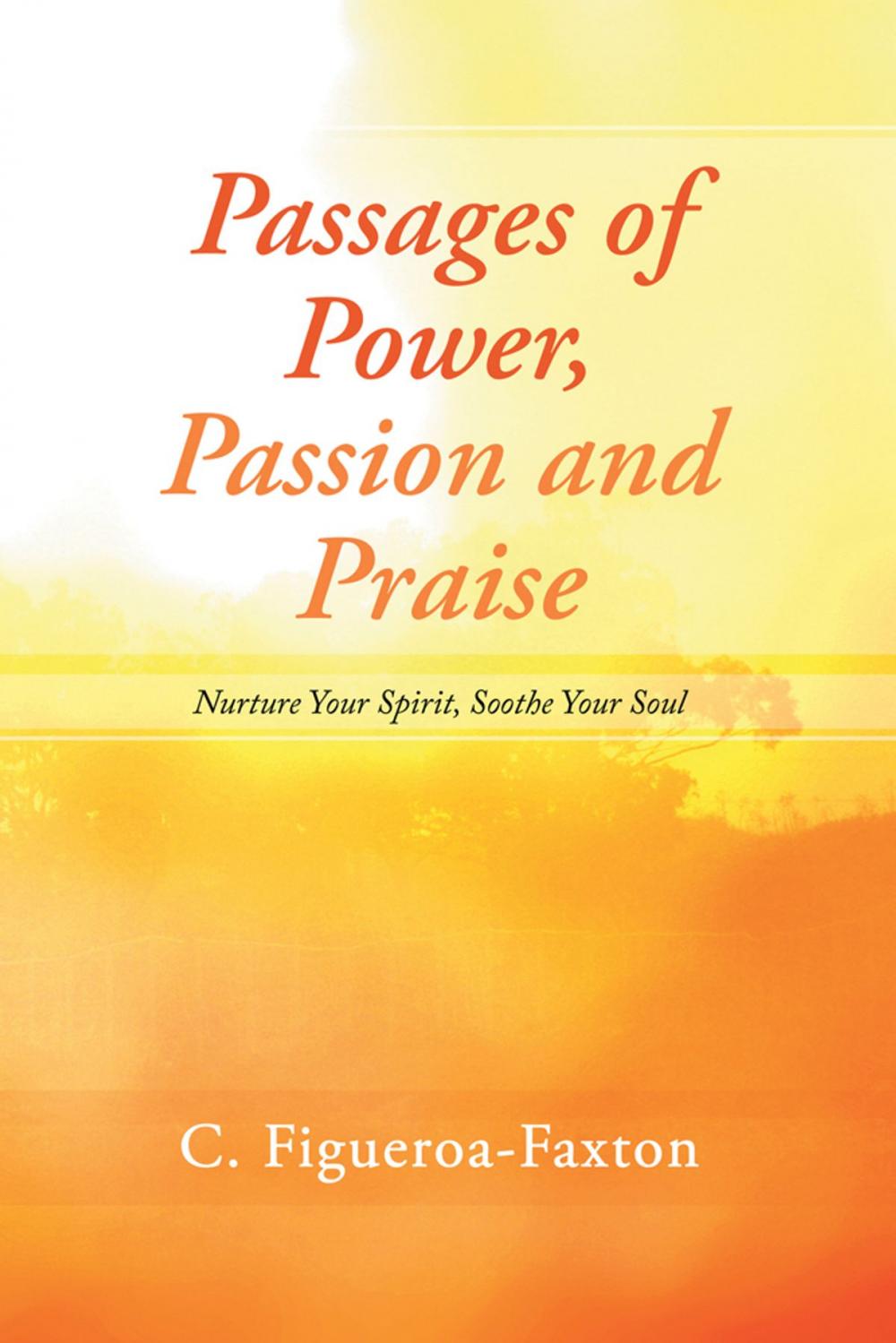 Big bigCover of Passages of Power, Passion and Praise