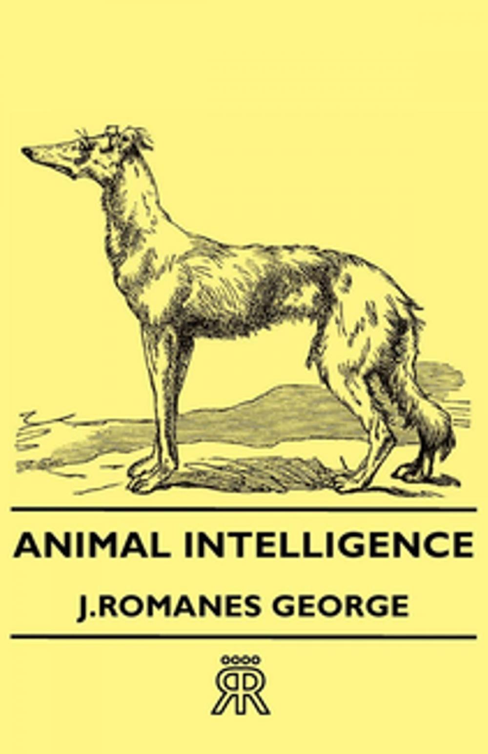 Big bigCover of Animal Intelligence