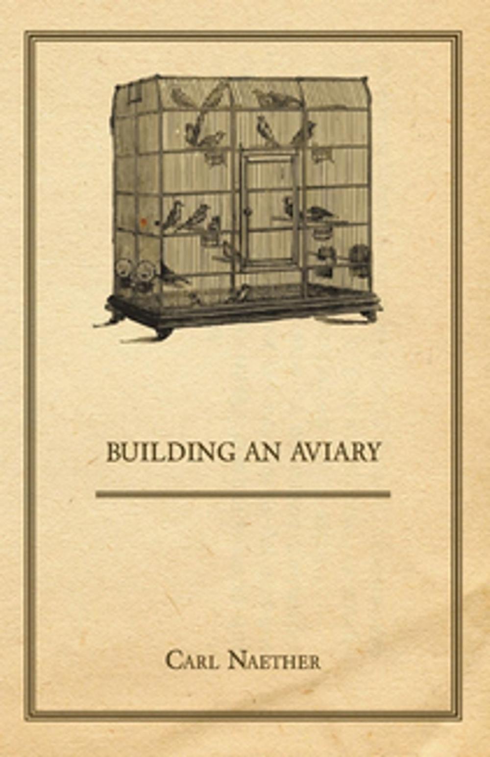 Big bigCover of Building an Aviary