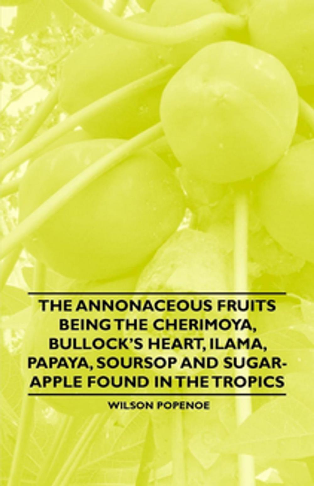 Big bigCover of The Annonaceous Fruits Being the Cherimoya, Bullock's Heart, Ilama, Papaya, Soursop and Sugar-Apple Found in the Tropics