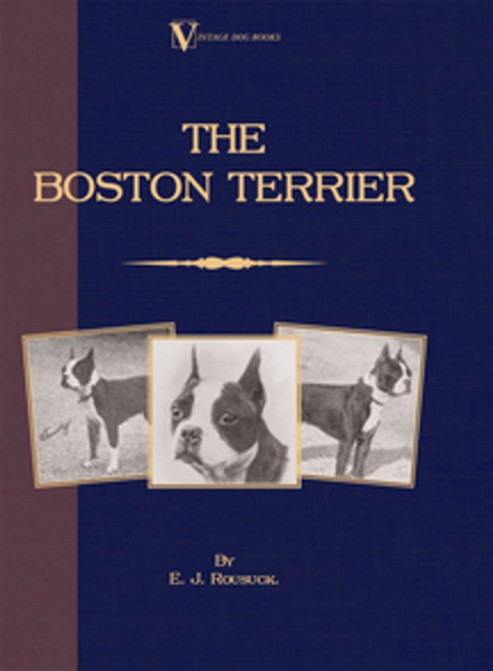 Big bigCover of The Boston Terrier (A Vintage Dog Books Breed Classic)