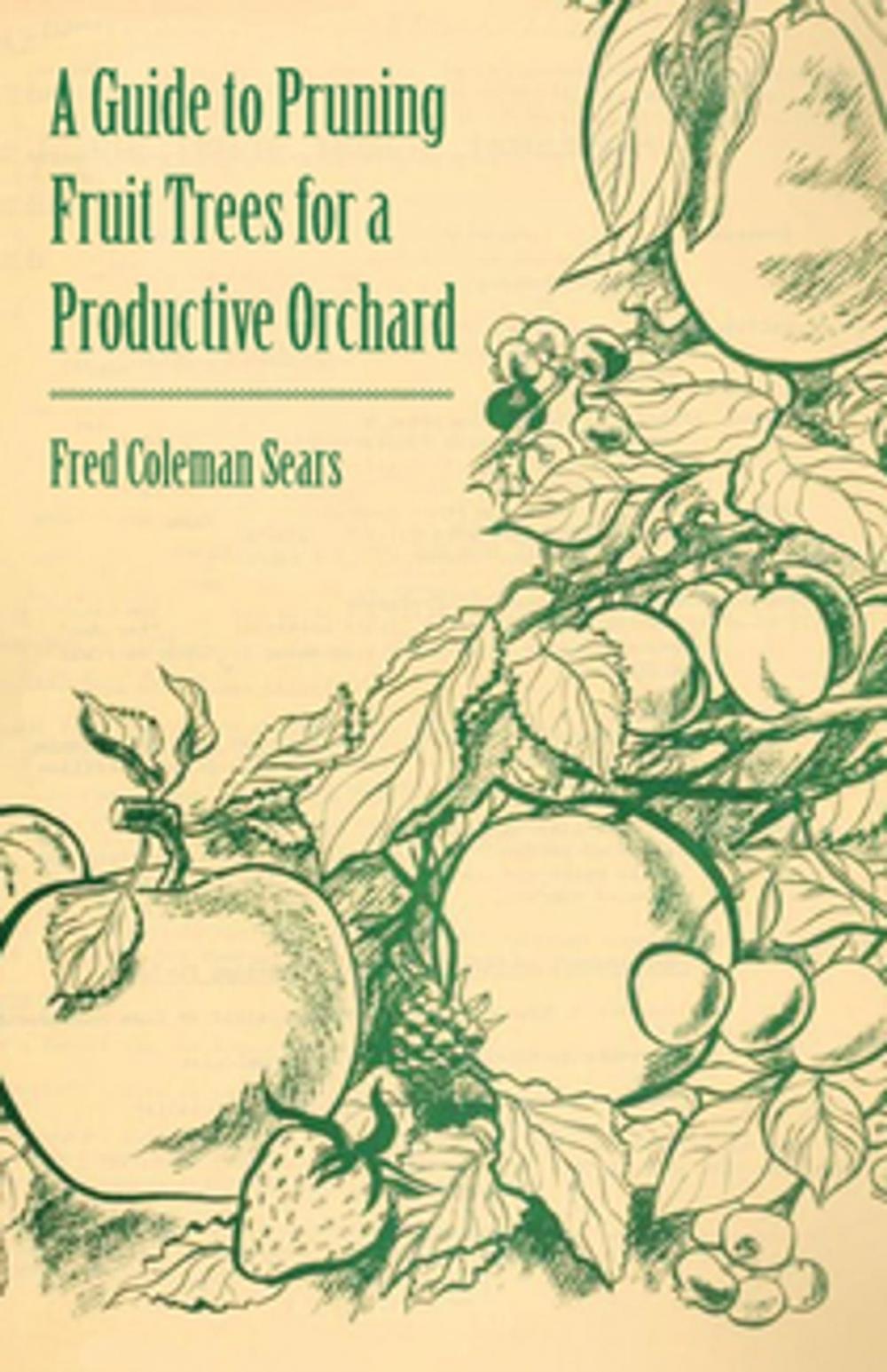 Big bigCover of A Guide to Pruning Fruit Trees for a Productive Orchard