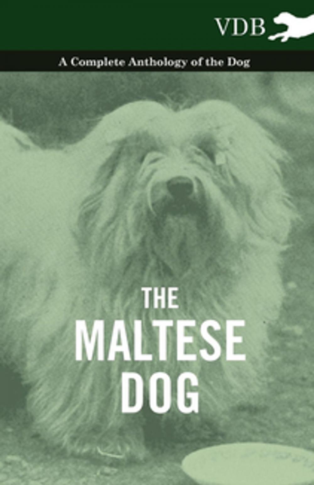 Big bigCover of The Maltese Dog - A Complete Anthology of the Dog