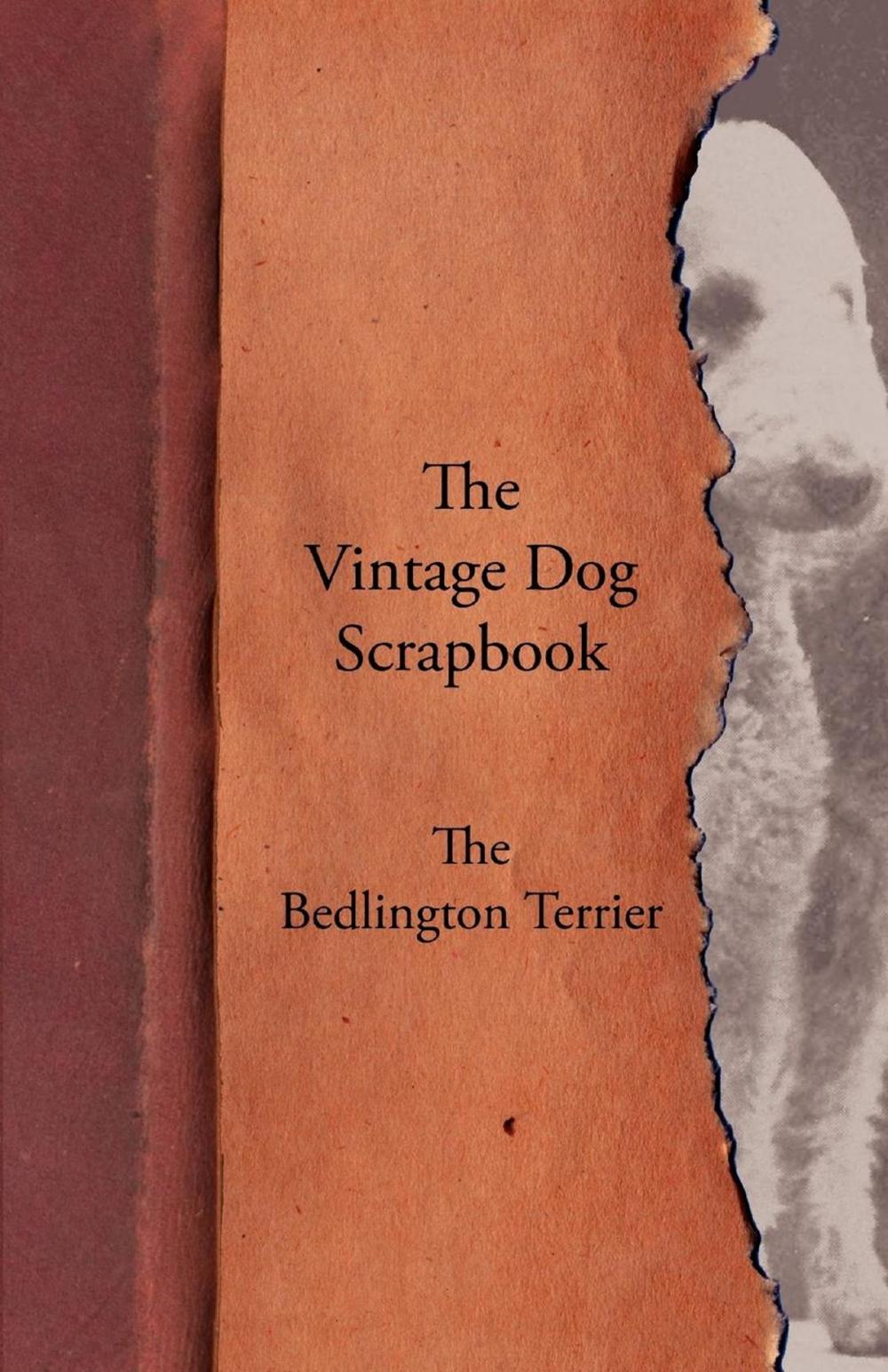 Big bigCover of The Vintage Dog Scrapbook - The Bedlington Terrier