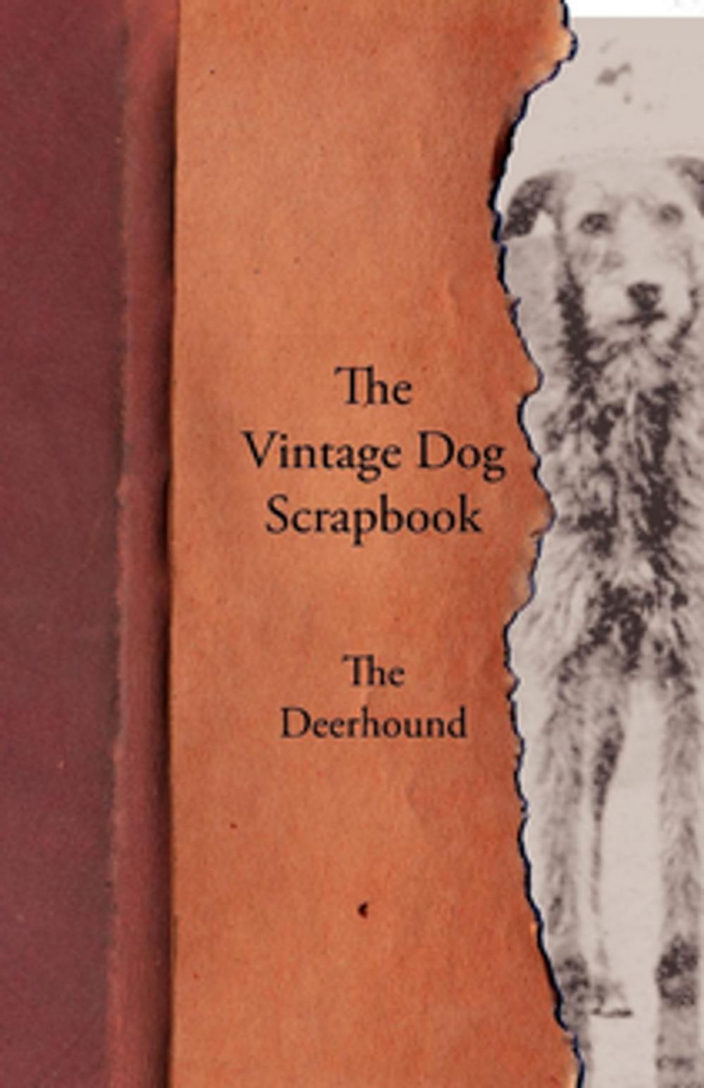 Big bigCover of The Vintage Dog Scrapbook - The Deerhound