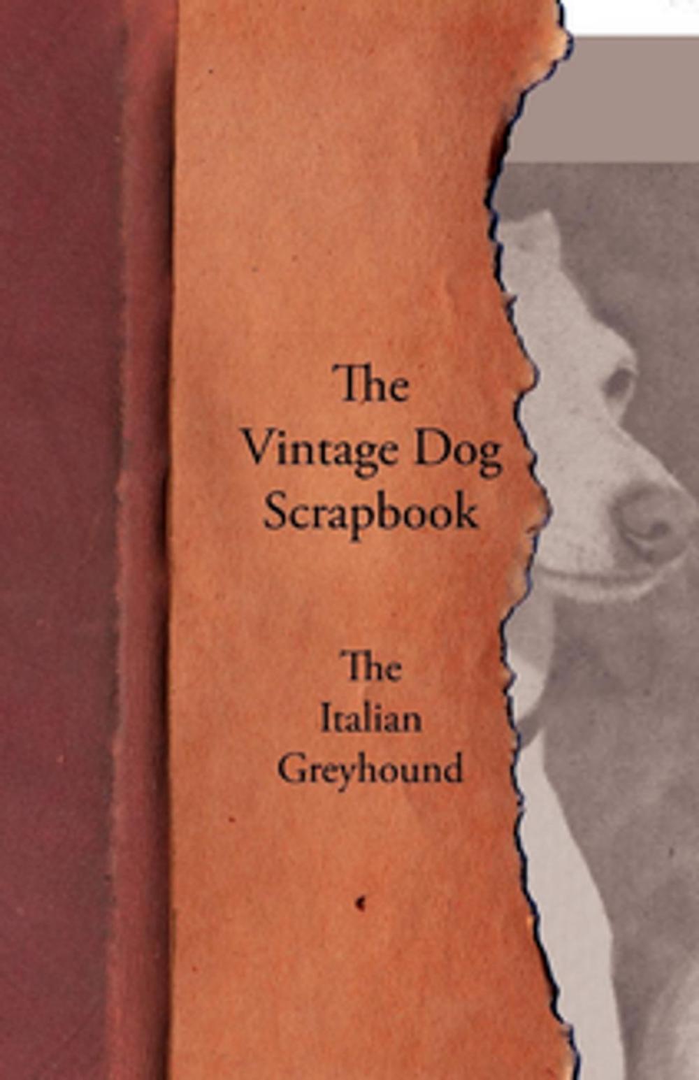 Big bigCover of The Vintage Dog Scrapbook - The Italian Greyhound