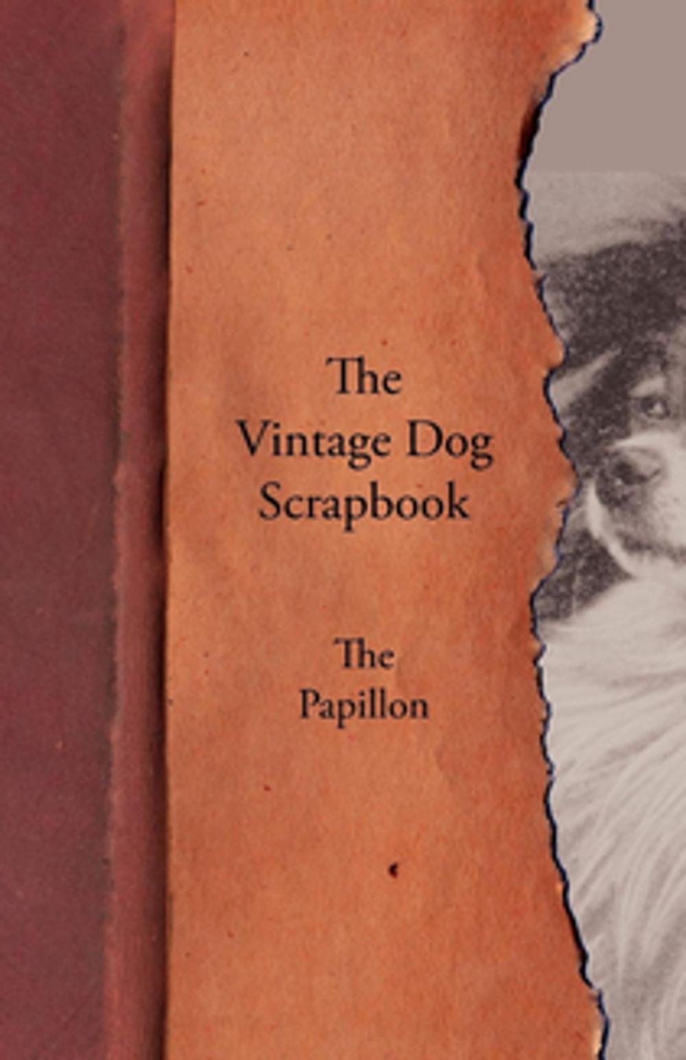 Big bigCover of The Vintage Dog Scrapbook - The Papillon