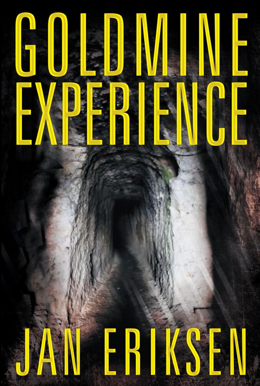 Big bigCover of Goldmine Experience