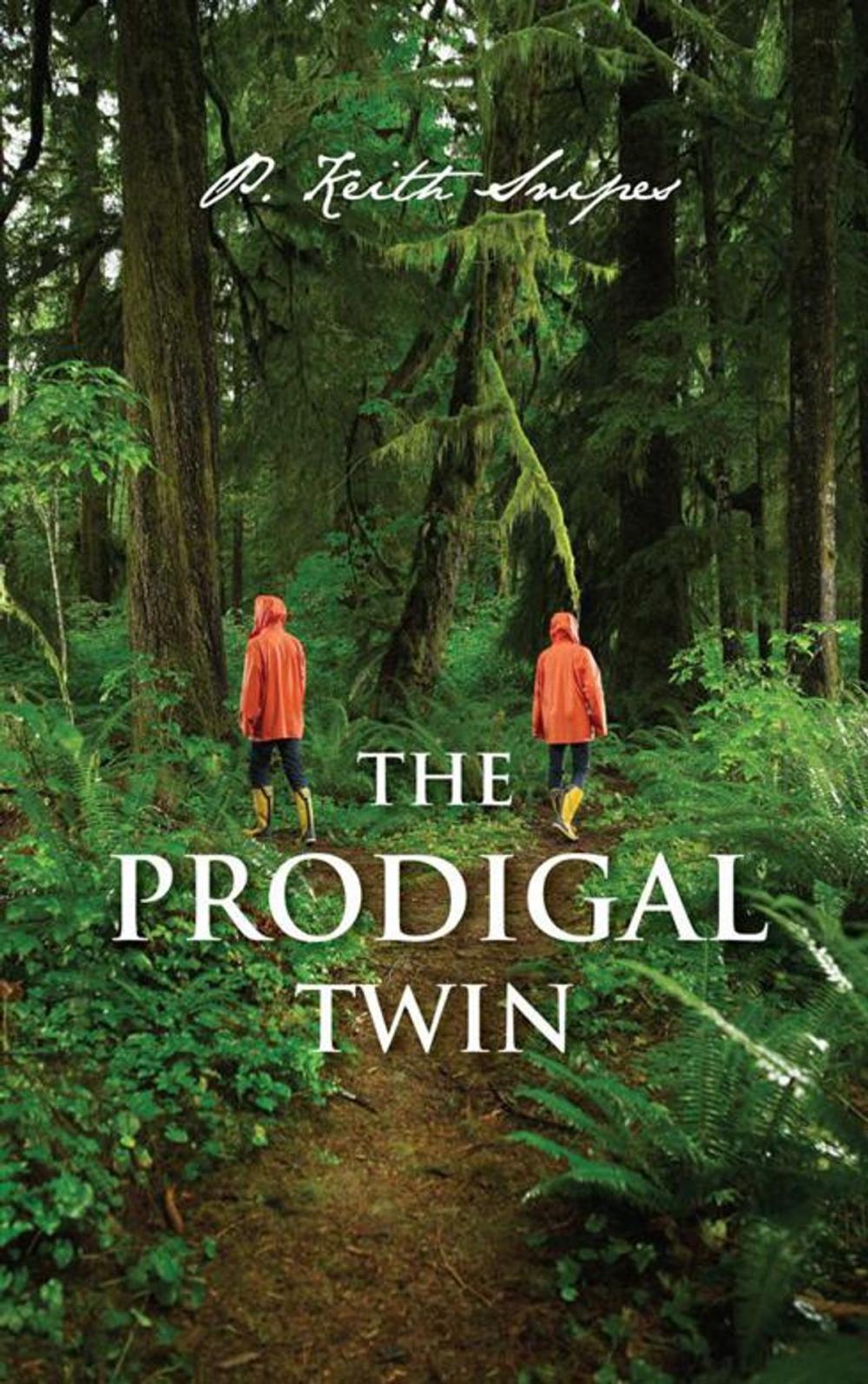 Big bigCover of The Prodigal Twin