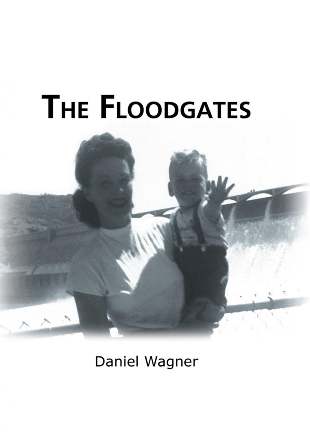 Big bigCover of The Floodgates