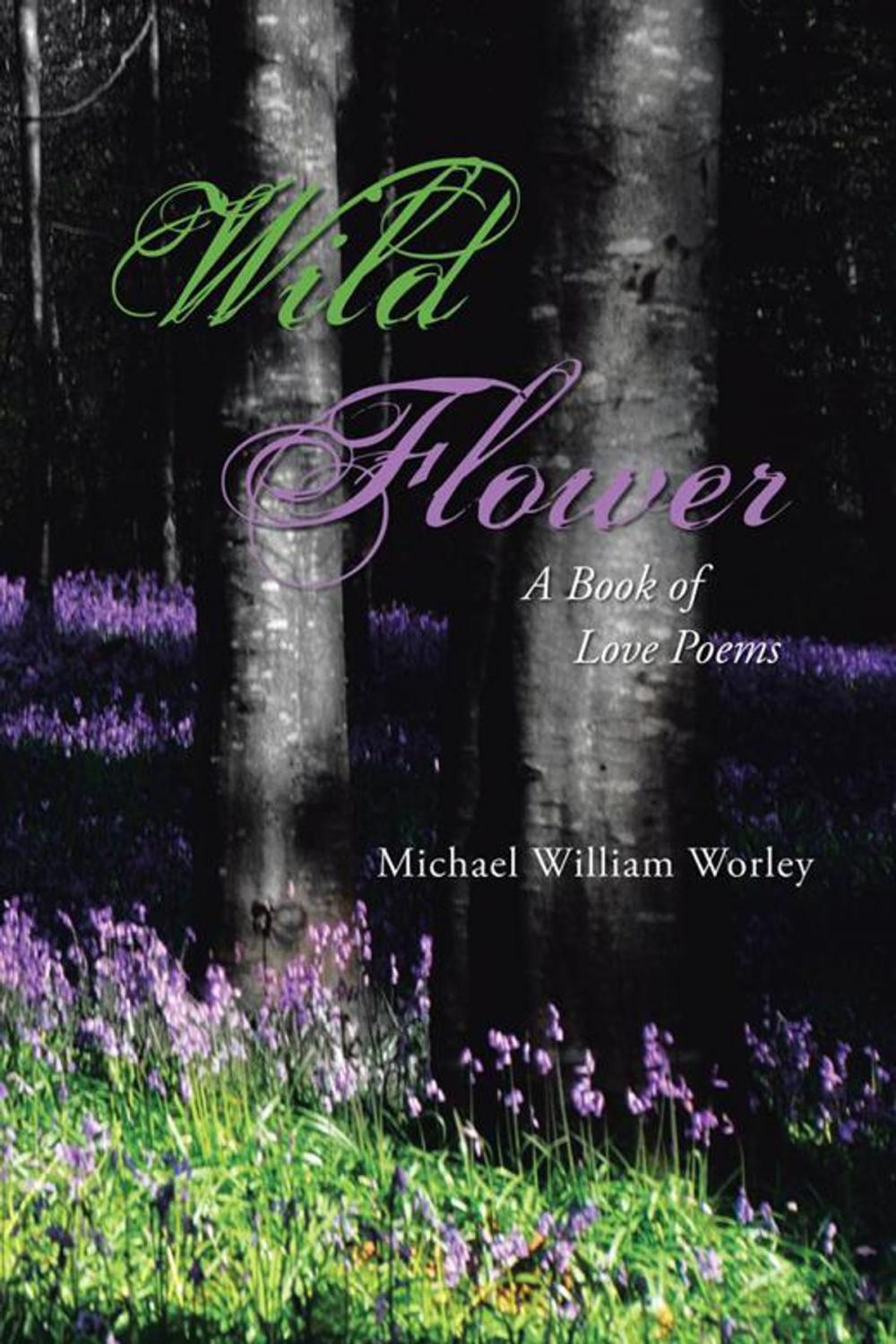 Big bigCover of Wild Flower