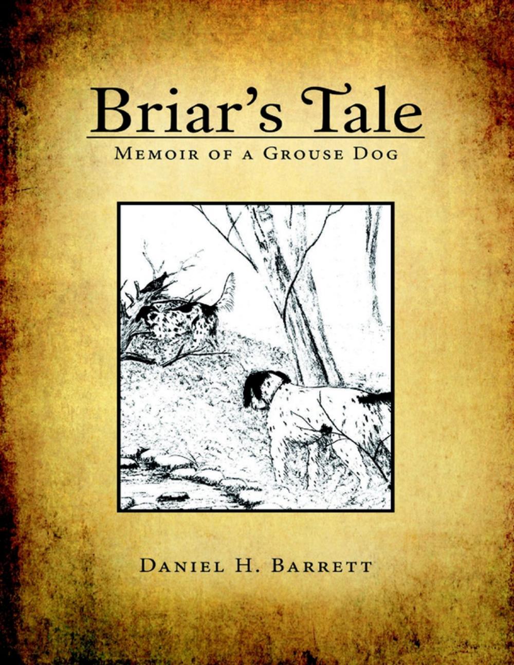 Big bigCover of Briar’s Tale: Memoir of a Grouse Dog