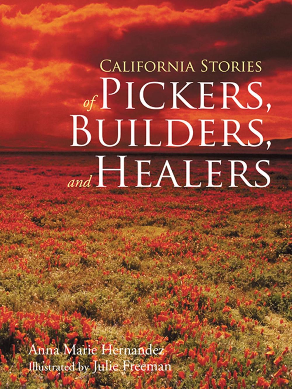 Big bigCover of California Stories of Pickers, Builders, and Healers