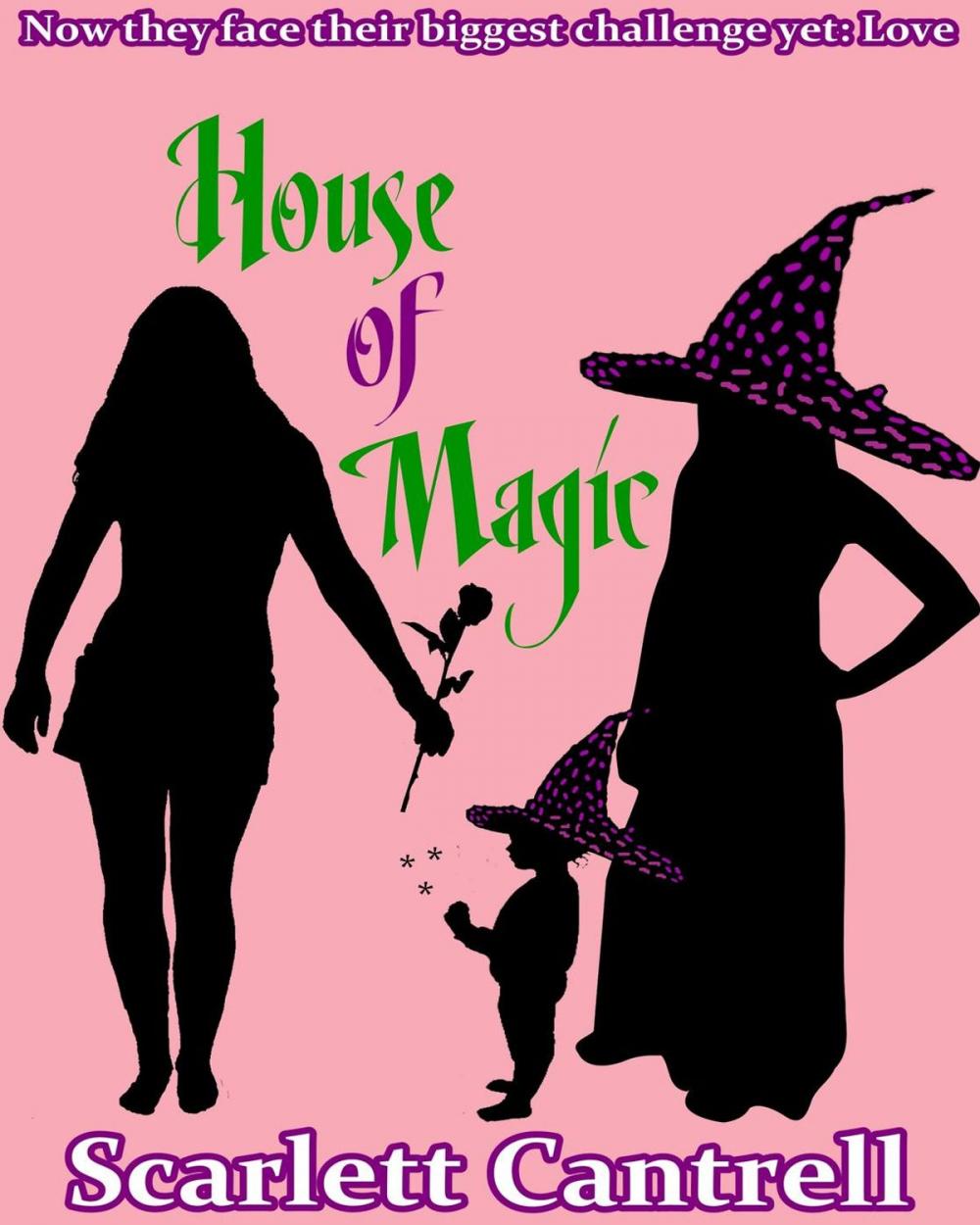 Big bigCover of House of Magic