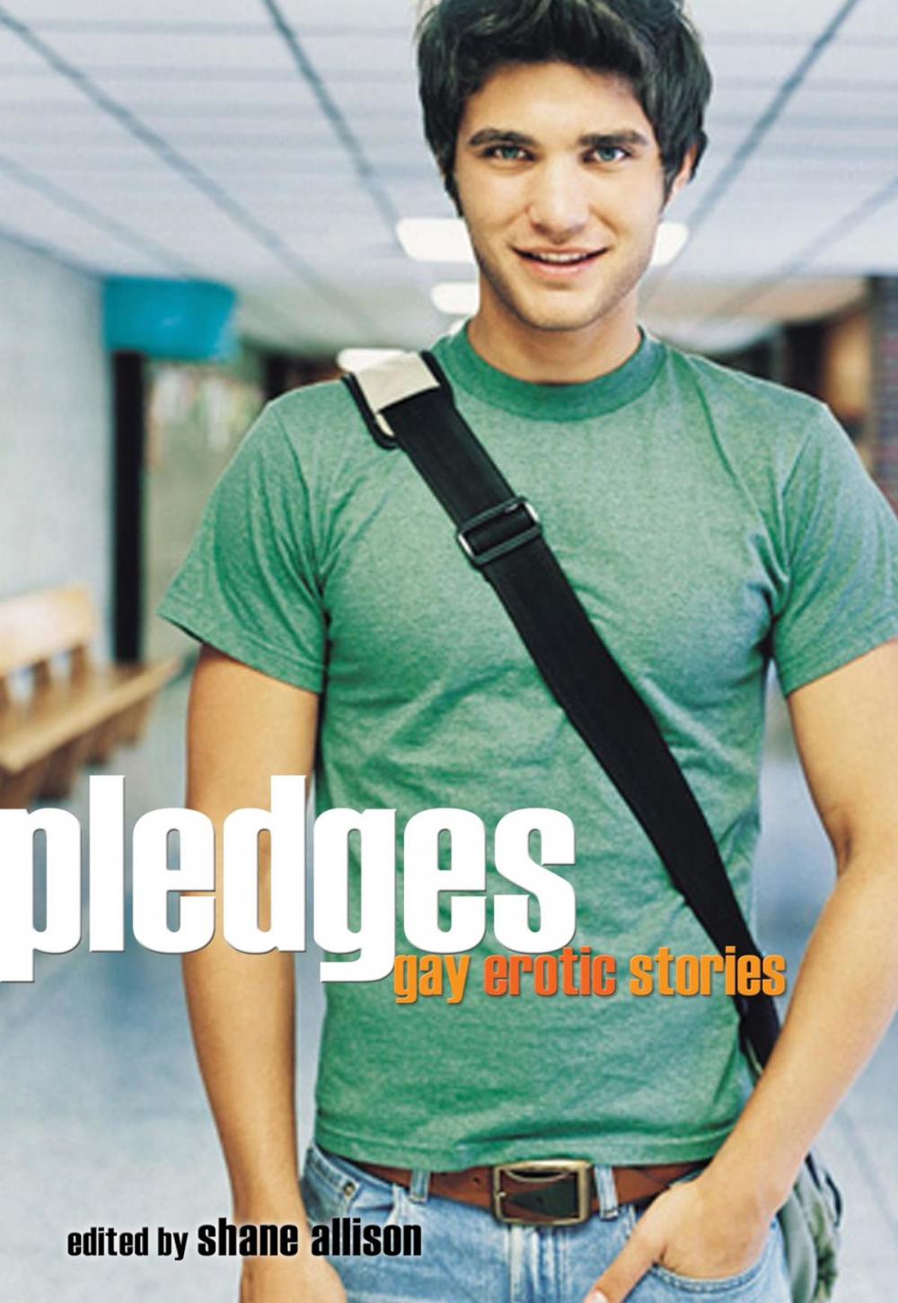 Big bigCover of Pledges