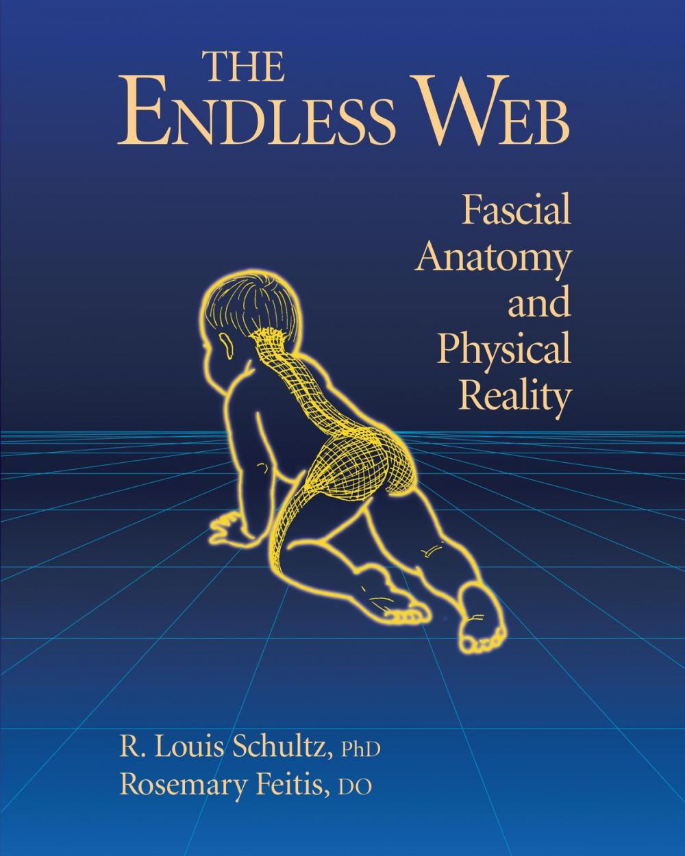 Big bigCover of The Endless Web