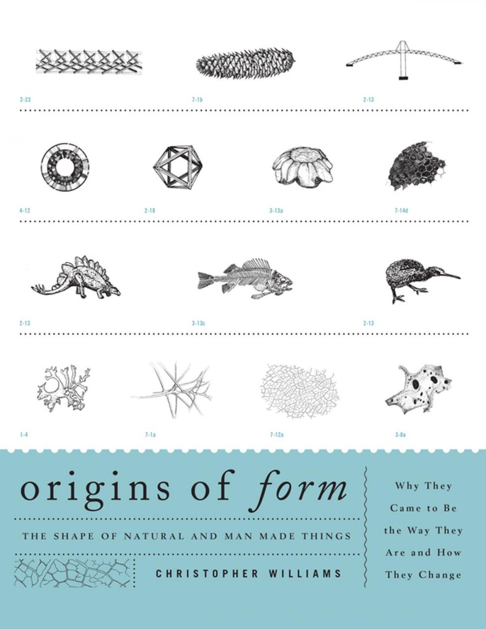 Big bigCover of Origins of Form