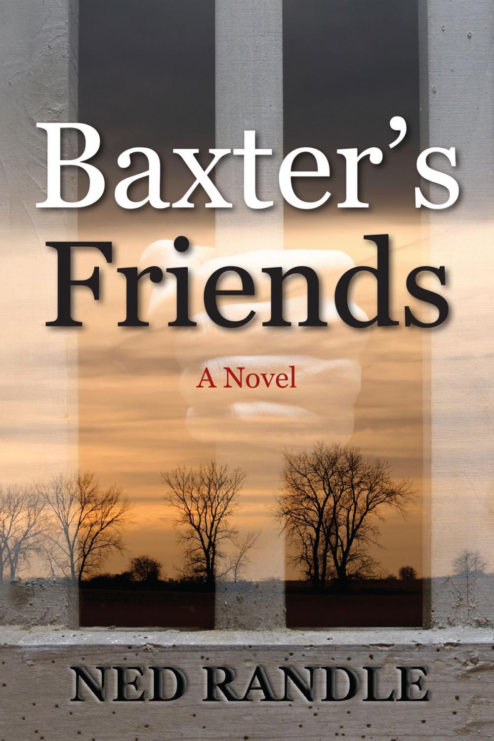 Big bigCover of Baxter's Friends