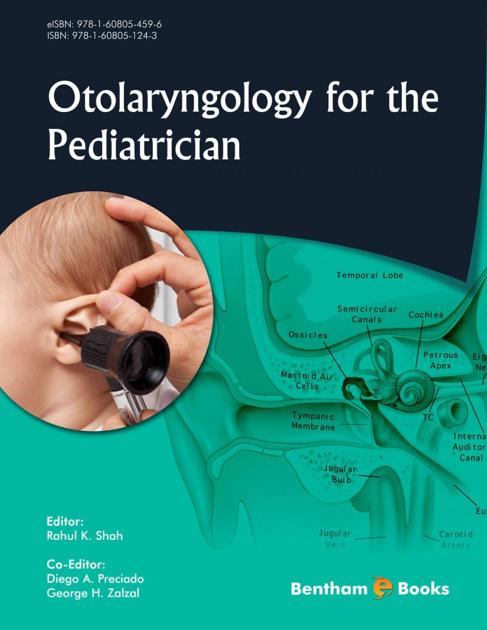 Big bigCover of Otolaryngology for the Pediatrician