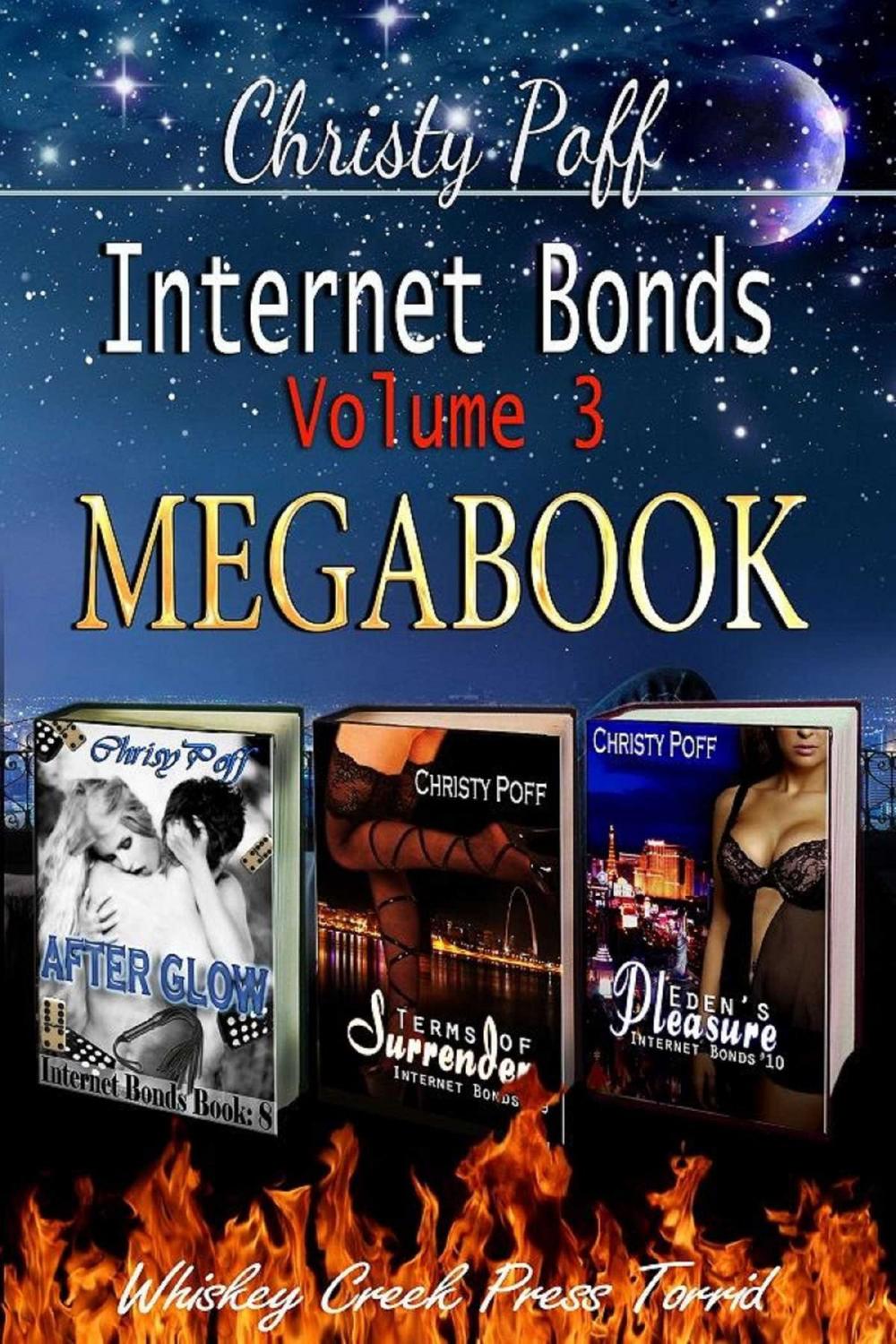 Big bigCover of Internet Bonds Megabook