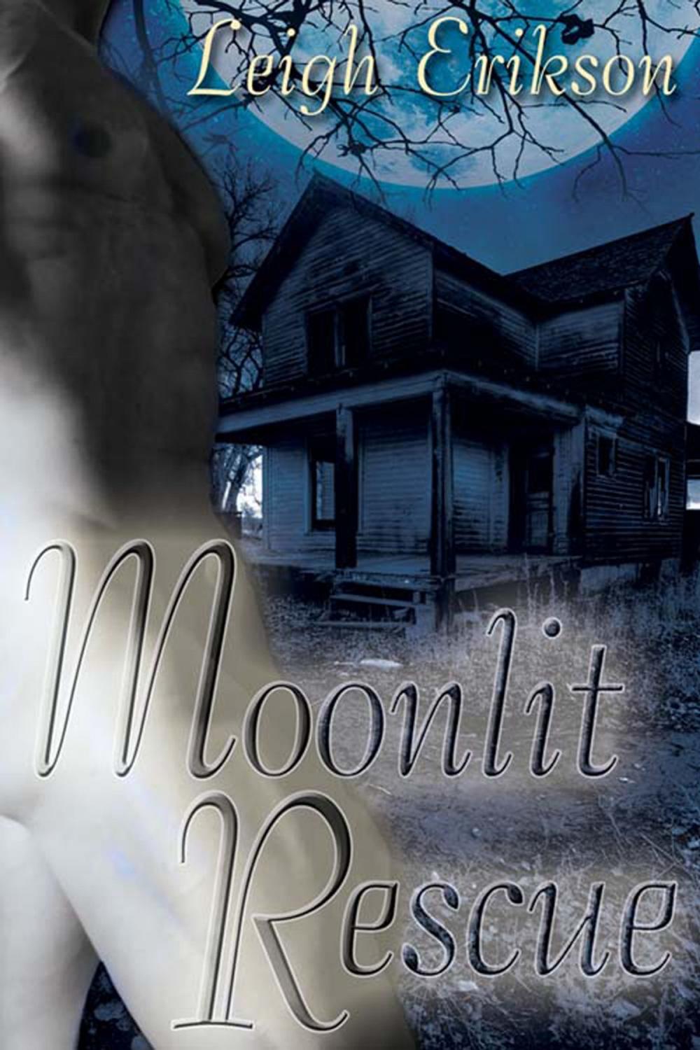 Big bigCover of Moonlit Rescue