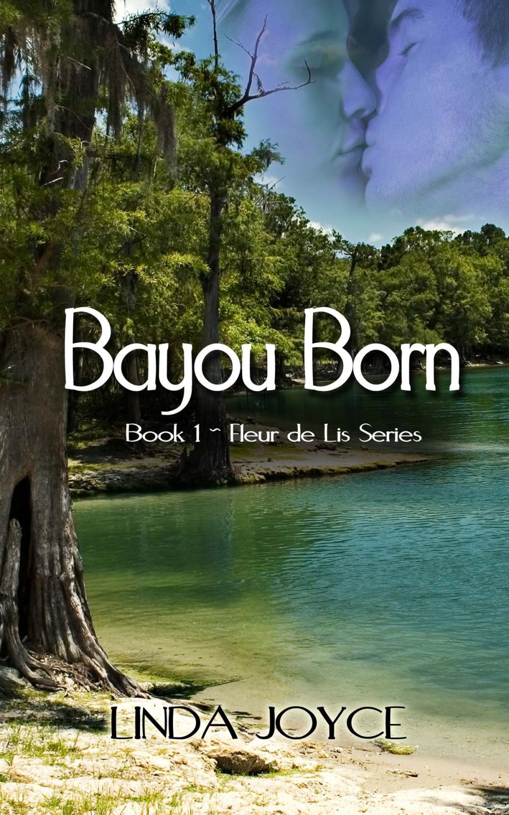 Big bigCover of Bayou Born