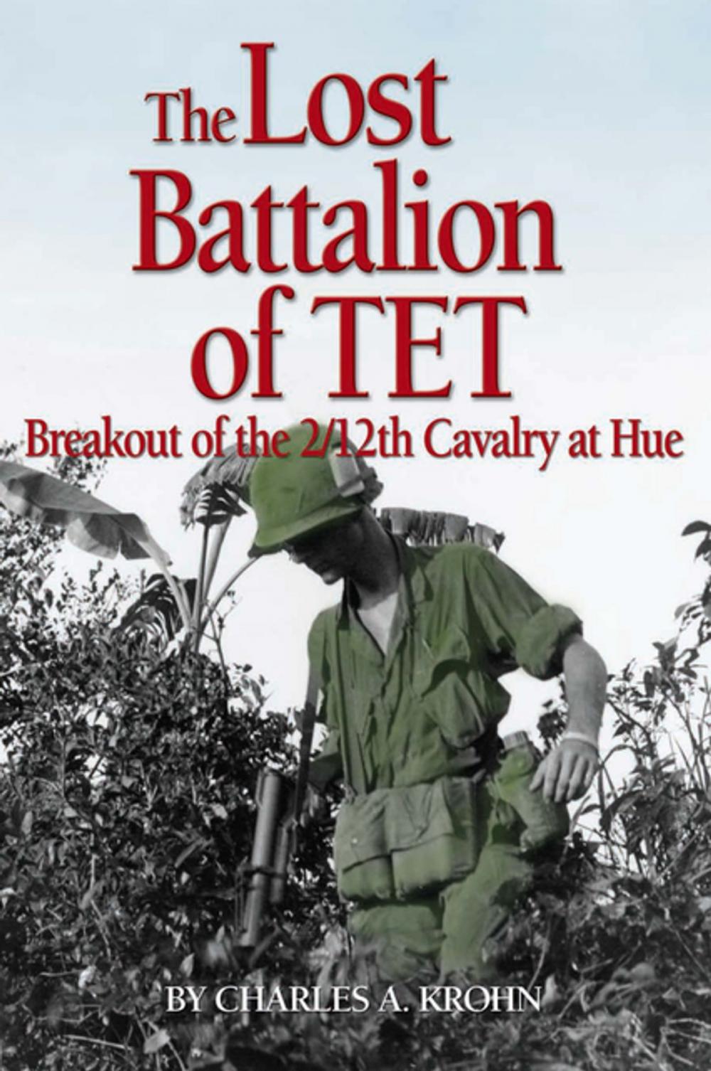 Big bigCover of The Lost Battalion of Tet