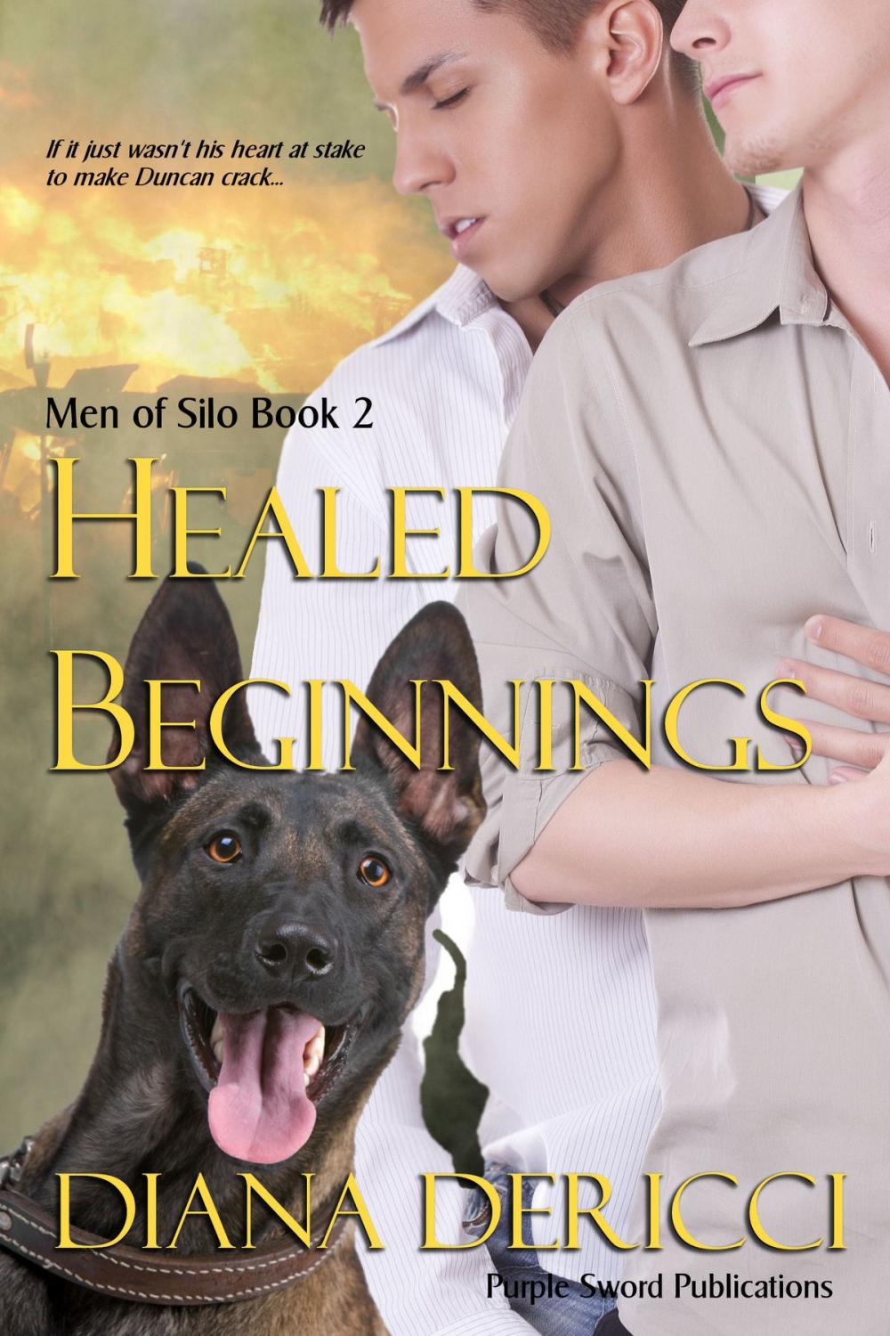 Big bigCover of Healed Beginnings