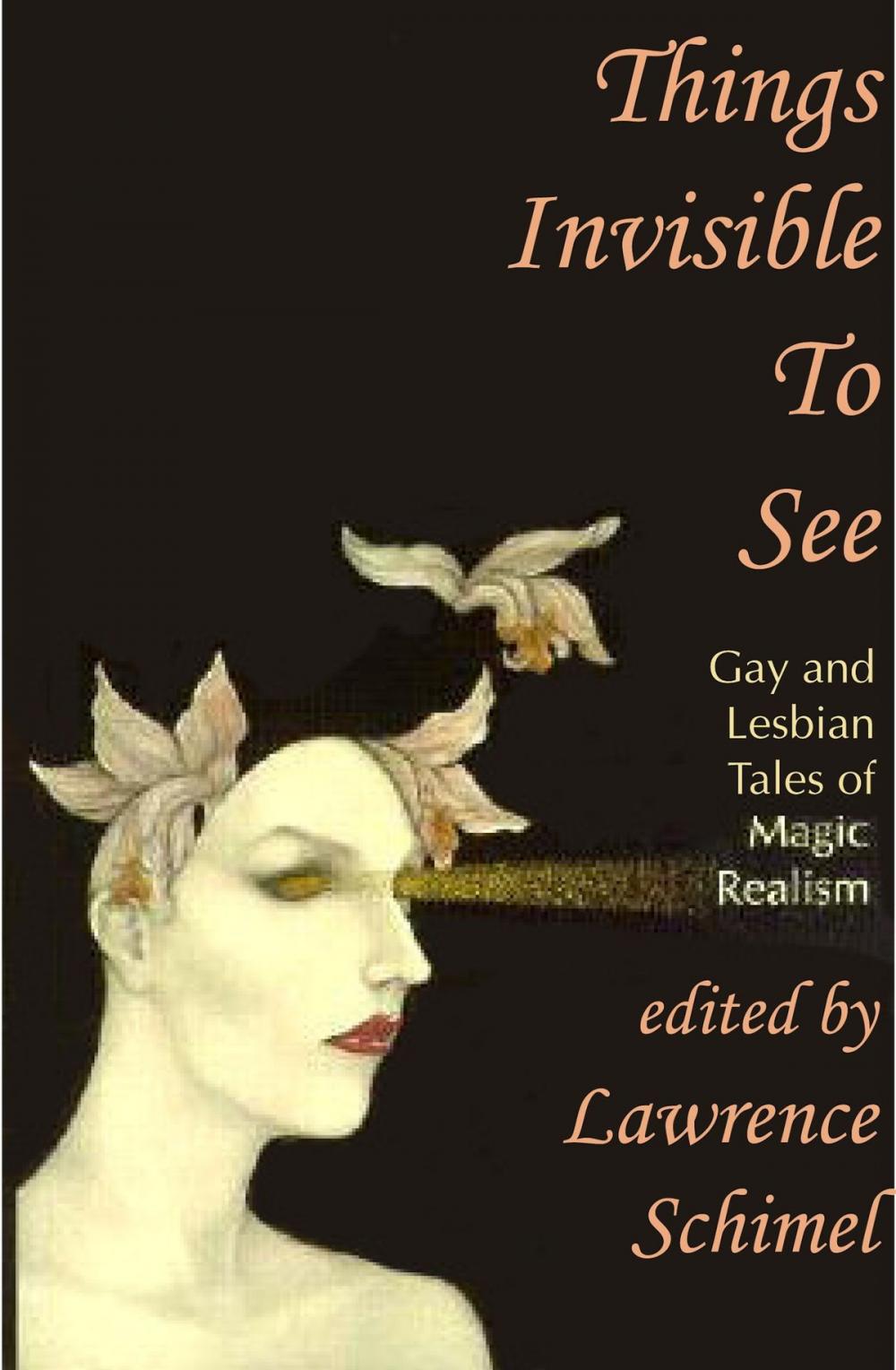 Big bigCover of Things Invisible to See: Lesbian and Gay Tales of Magic Realism