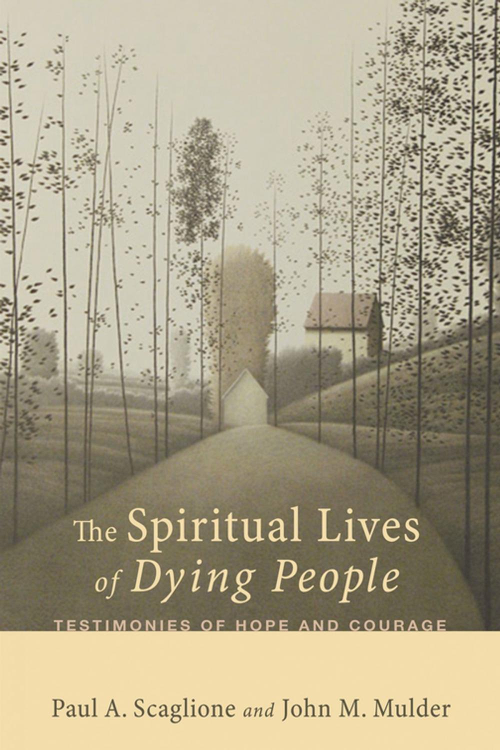 Big bigCover of The Spiritual Lives of Dying People