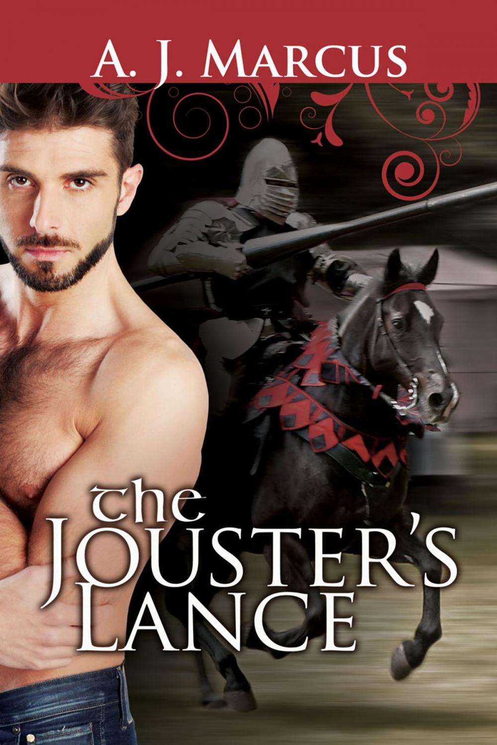 Big bigCover of The Jouster's Lance